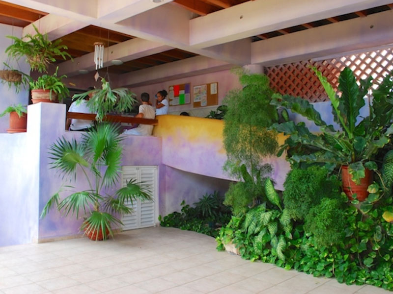 EL ÁNIMA DEL VIENTO • CANCÚN