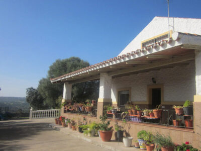 LA ENCINA • SEVILLA